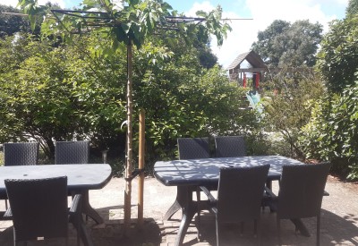 Terras met natuurlijke parasol